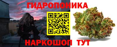 экстази Новозыбков