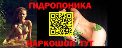 скорость Новодвинск
