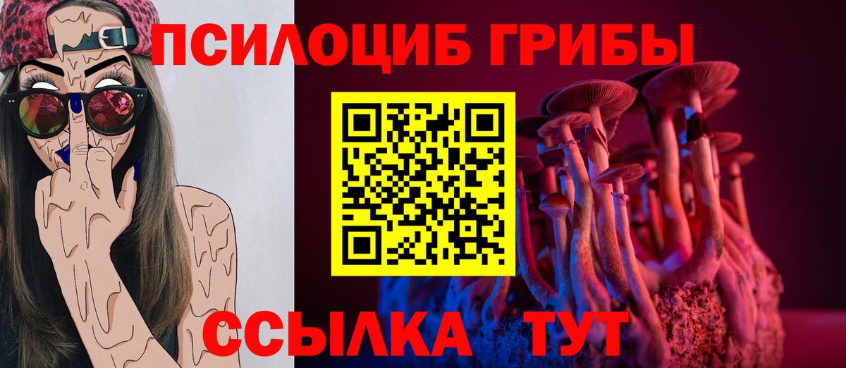 Псилоцибиновые грибы мухоморы  дарнет шоп  Томск  Псилоцибиновые грибы MAGIC MUSHROOMS  Вход с VPN 