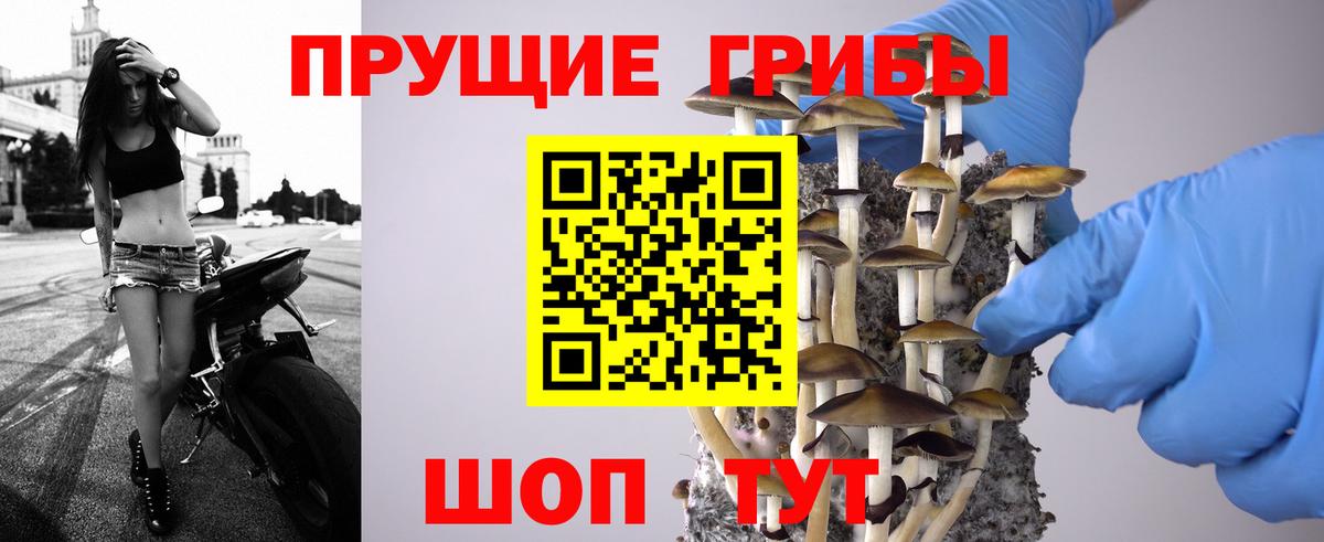 Галлюциногенные грибы MAGIC MUSHROOMS Томск
